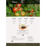 Organic Template - Agriculture - HTML+JPG+PSD