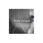 Slider Default