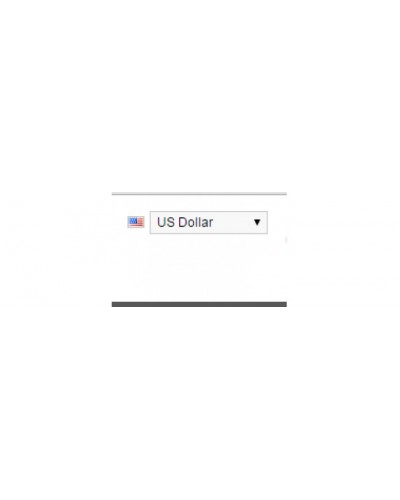 Dropdown currency with country flag