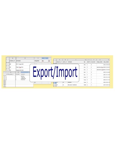 Export/Import Tool
