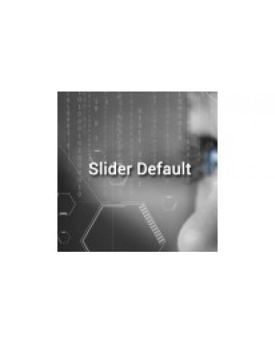 Slider Default