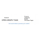 SEO Facebook Open Graph Tags