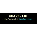 SEO URL Tag