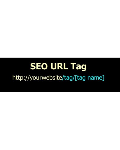 SEO URL Tag